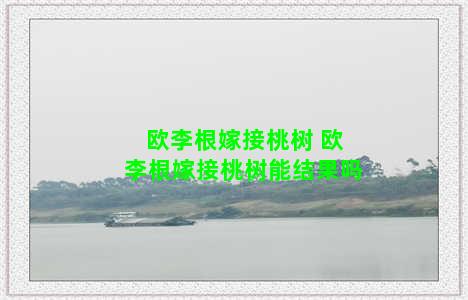 欧李根嫁接桃树 欧李根嫁接桃树能结果吗